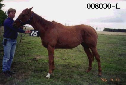 ���� ����