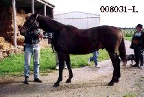 ���� (RU PANG) ����