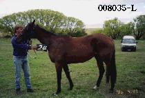 ���� (NAE MYEON) ����