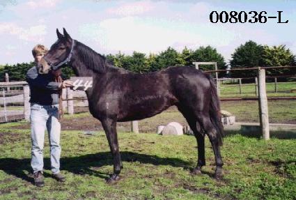 �ı��� ����