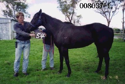 īŸ�� ����