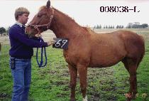 �º��� (SEUNGBOGWAN) ����