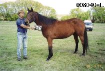 �ſ��� (MAEOREUM) ����