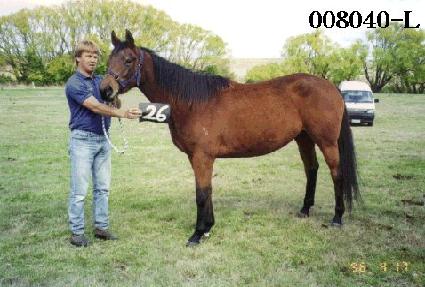 �ſ��� ����