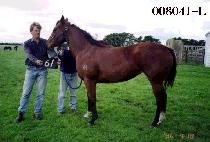 �뱤 (DAEGWANG) ����