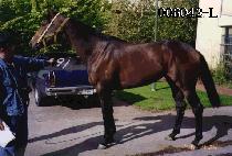 �̵�Ʈ (IDUT) ����