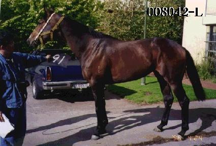 �̵�Ʈ ����