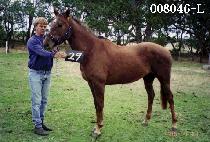 ��õ (DONGCHEON) ����