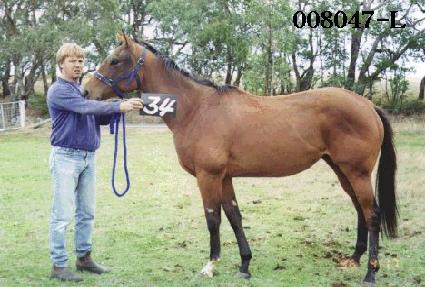 ���̵� ����