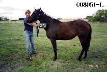 �ſ� (MAEWOL) ����