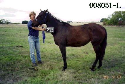 �ſ� ����