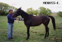 ��õ (MACHEON) ����