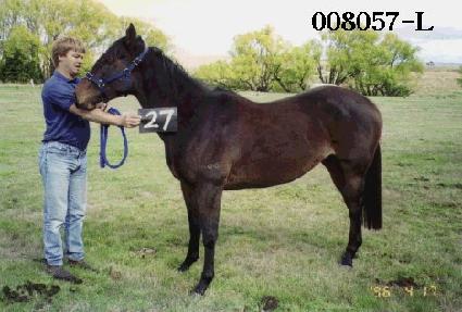 �ݿ��� ����