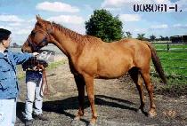 ���Ѵ� (MUHANDAE) ����