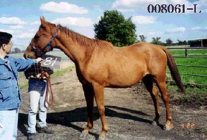 ���Ѵ� ����