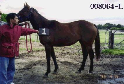 ȭ�ν��� ����