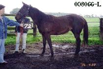 �̱۾��� (EAGLE EYE) ����