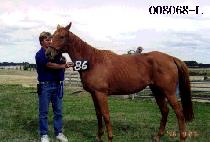 ������ (NARAECHA) ����