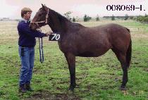 ���� (NAMJU) ����