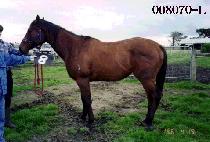 �źϼ� (GEOBOOKSEON) ����