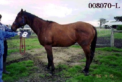 �źϼ� ����