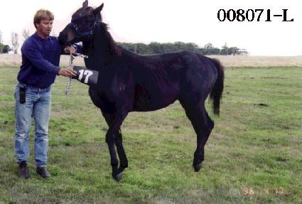 �켼�� ����