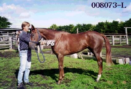 ��Ÿ ����