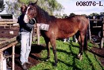 õȭ��� (CHEONHWADAEAM) ����