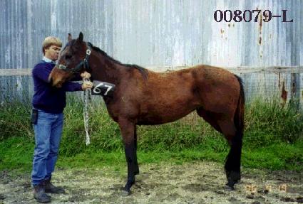 ����Ÿ ����