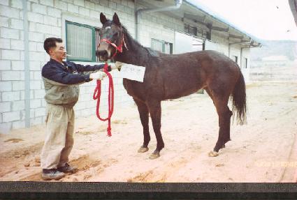 ��ܰ� ����