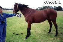 ���� (JEONGTO) ����