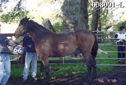 ���� ����