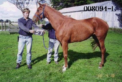 û���� ����