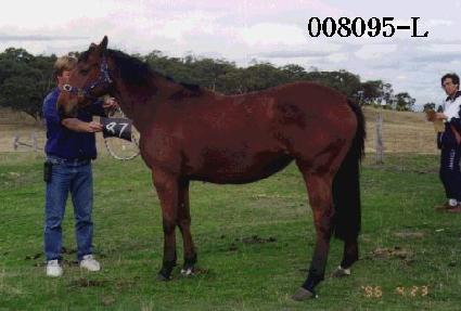 �׻��ϵ� ����