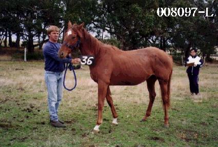 ���׶� ����