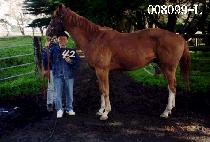 ū���� (KEUN SEONBI) ����