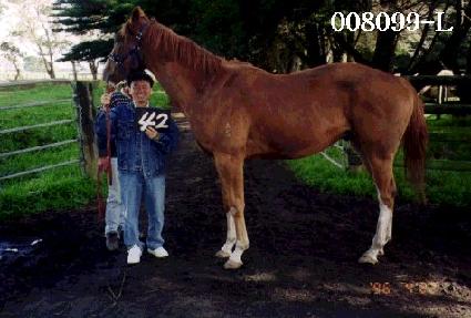 ū���� ����