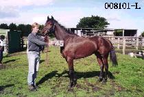 Ÿ�ӿ��� (TIME WORLD) ����