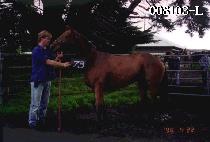 ���� (YEONGBISEONG) ����