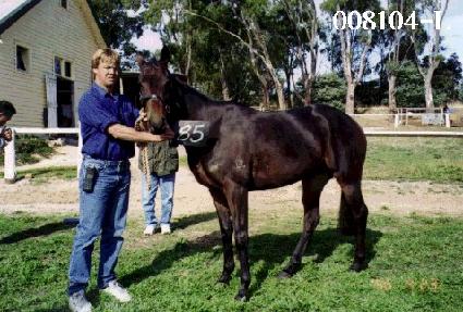 ���� ����