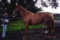 ������ (NOO REONG YI) ����