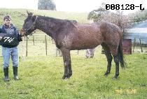 ���������� (DONGYANGEUI JINJU) ����