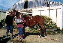 �ݱ��� (GEUMGUSEUL) ����