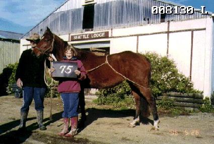 �ݱ��� ����