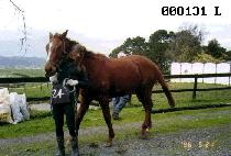 �����Ŀ� (HIGH POWER) ����