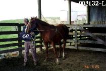 ������� (OSAEKHYANGGI) ����