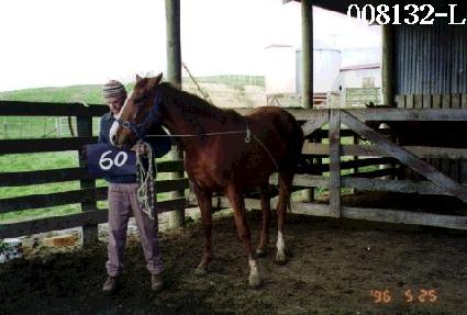 ������� ����