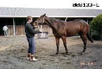 �ϵ� (HARD) ����