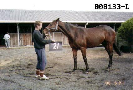 �ϵ� ����