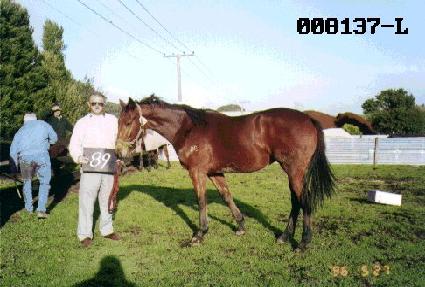 �������� ����